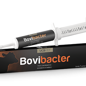 Bovibacter