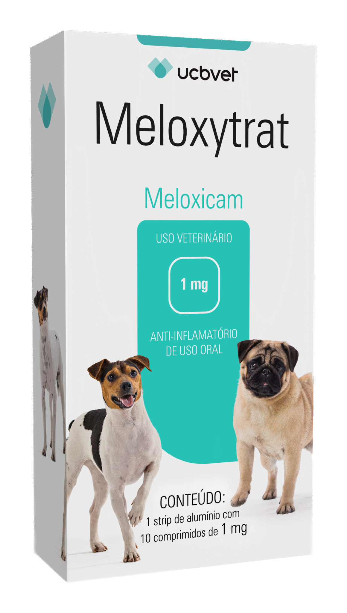 meloxytrat-anti-inflamatorio-caes-3