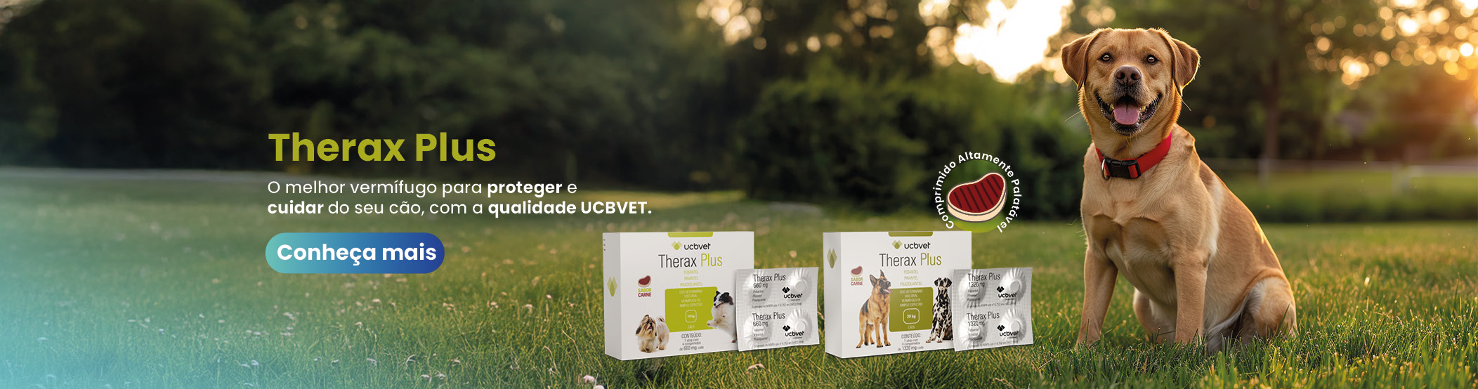 Banner_Site_Therax_Plus