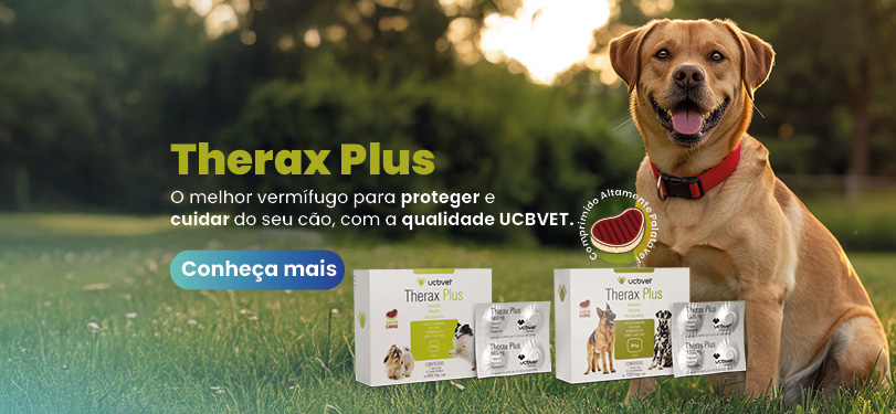 Banner_mobile_Mobile