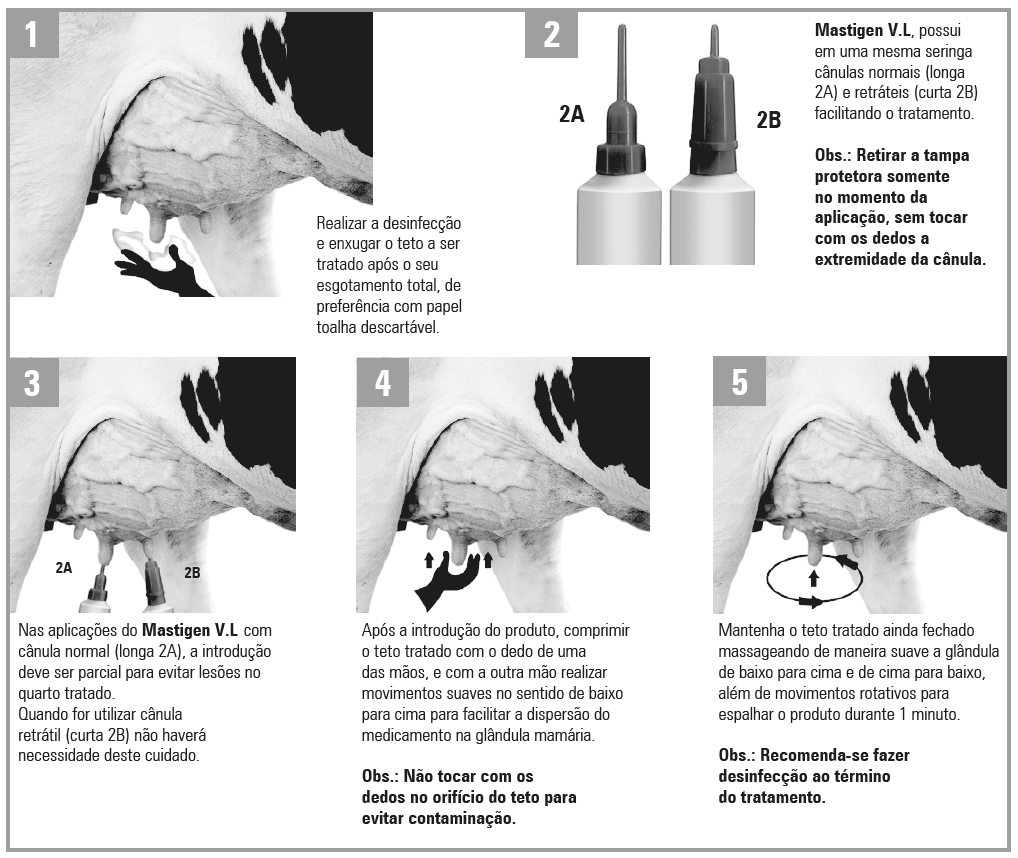 Esquema de aplicação Mastigen