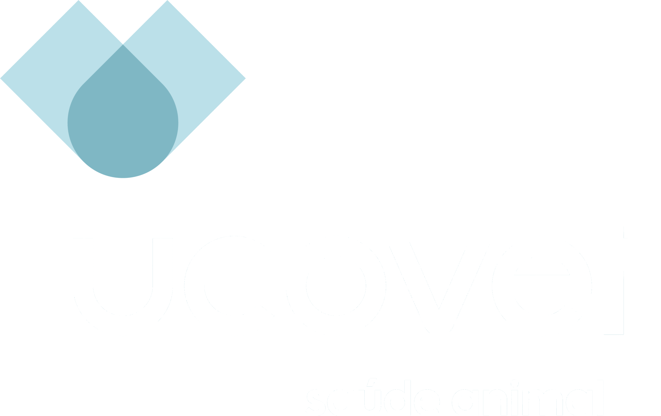 Logo Preferencial Colorida