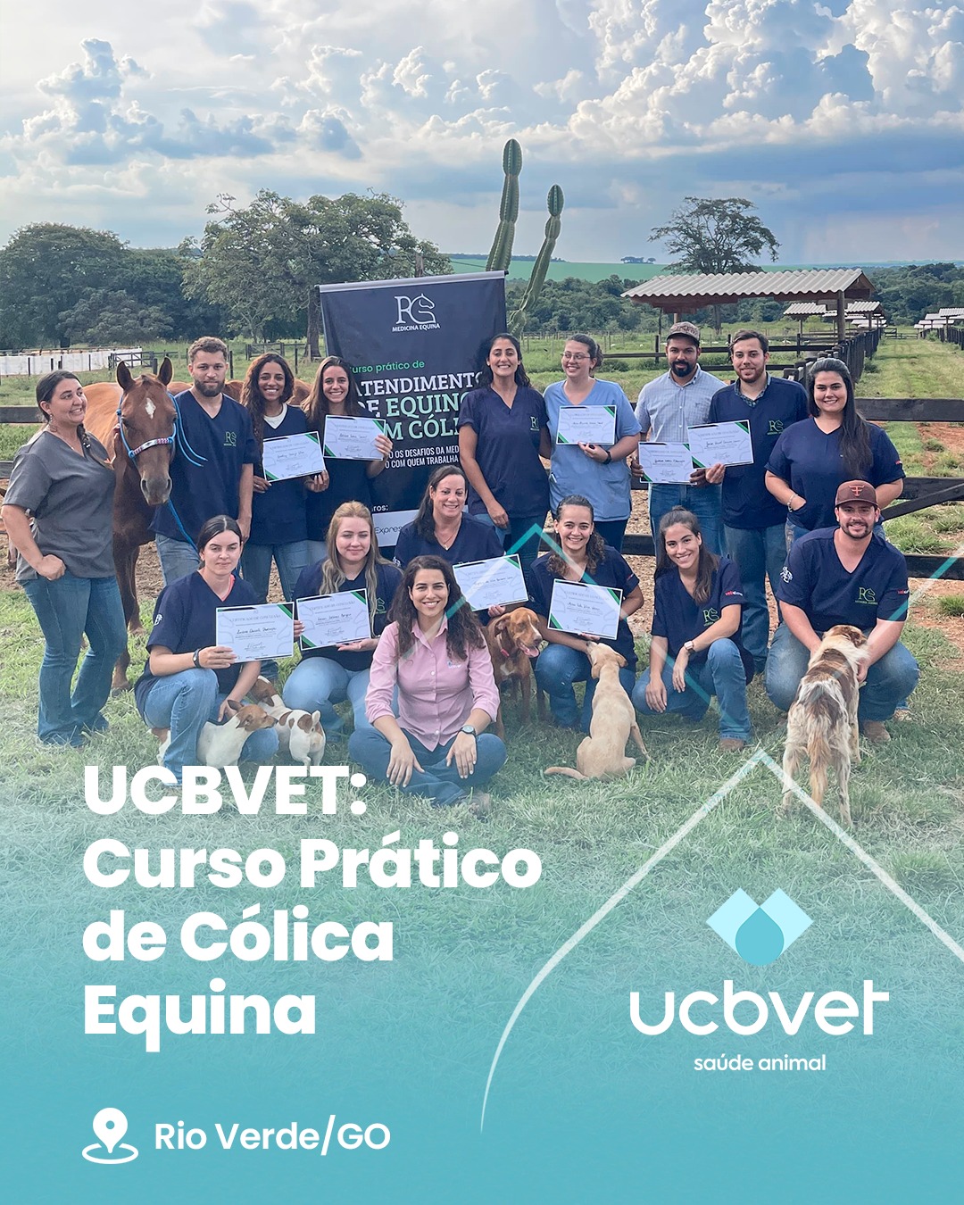 UCBVET: Curso Prático de Cólica Equina